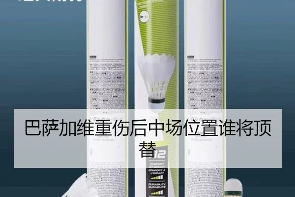 ba-sa-jia-wei-zhong-shang-hou-zhong-chang-wei-zhi-shui-jiang-ding-ti-2-170.jpg